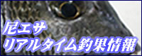 �ꥢ�륿������̾���